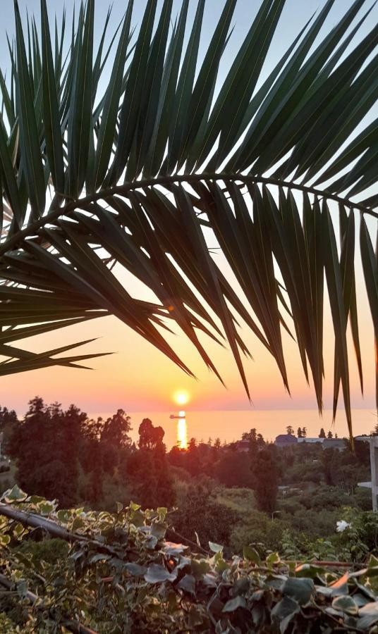 Kemeni Garden Hotell Batumi Eksteriør bilde